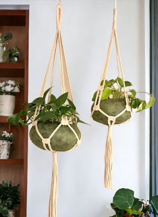 Green Mercury Planter Hanging Planter