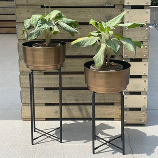 Plain Planter w/stand Antiq.