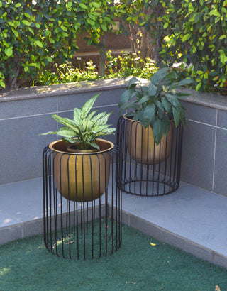 Cage Planter Large
