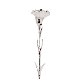 Carnation Silver