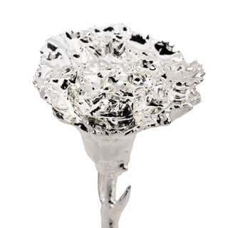 Carnation Silver
