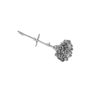 Carnation Silver