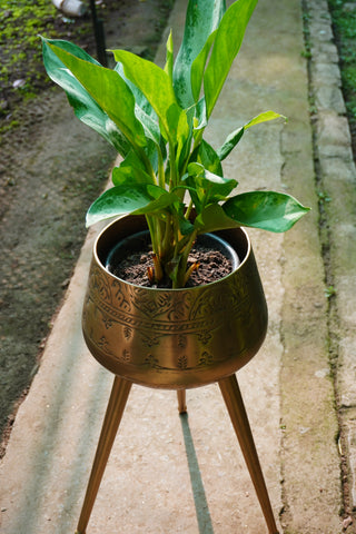 Tripod Planter