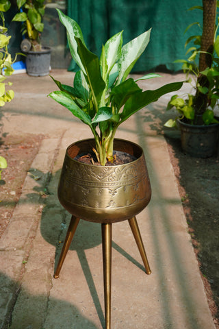 Tripod Planter
