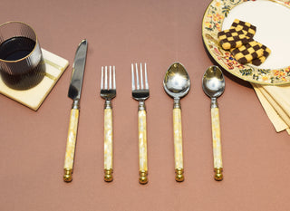 SS cutlery set of 5 with mother of pearl handle