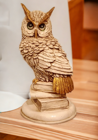 Owl with Books