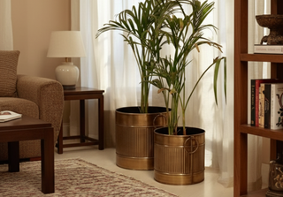 Planters