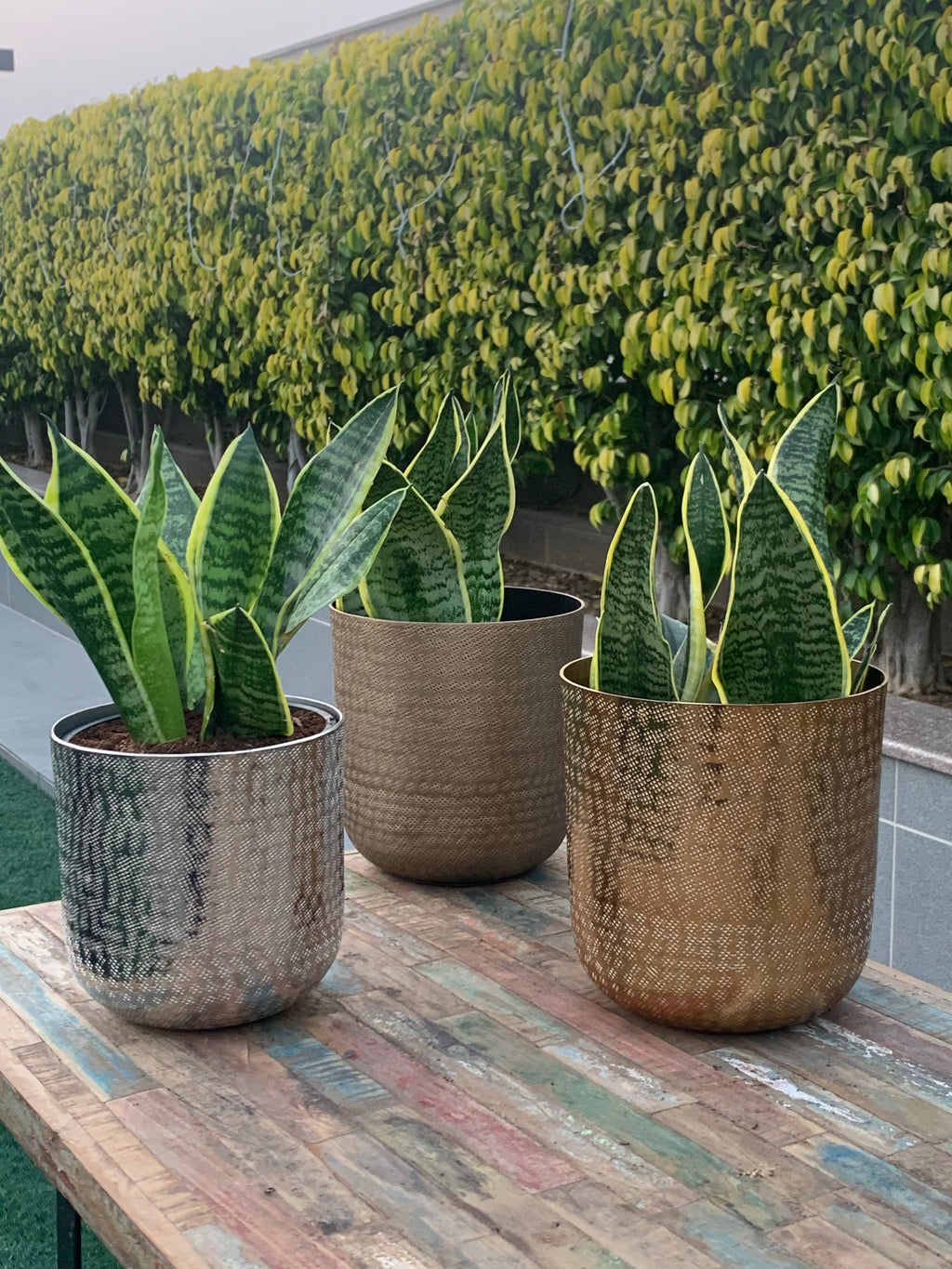 Chatai Texture Planter Br.Antiq.