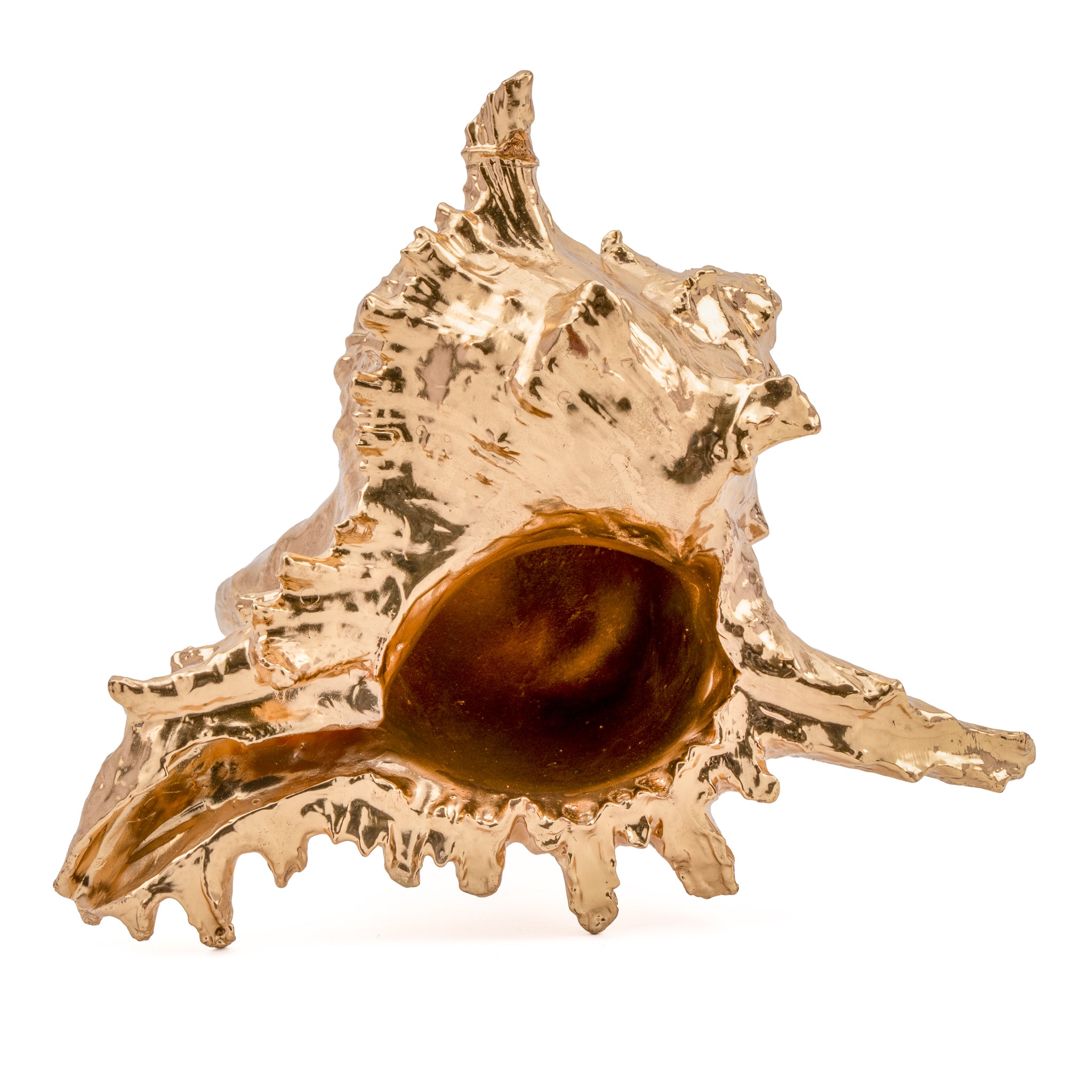 Shankh