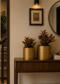 Iron Hammered Planter – Gold Antique Finish
