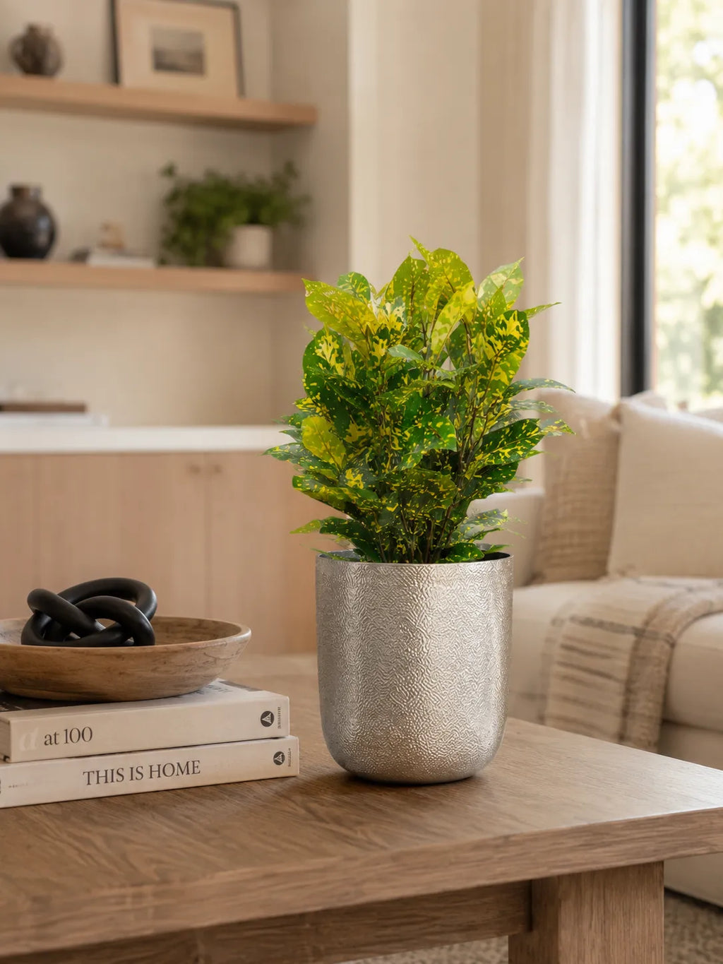Chatai Texture Planter Br.Antiq.
