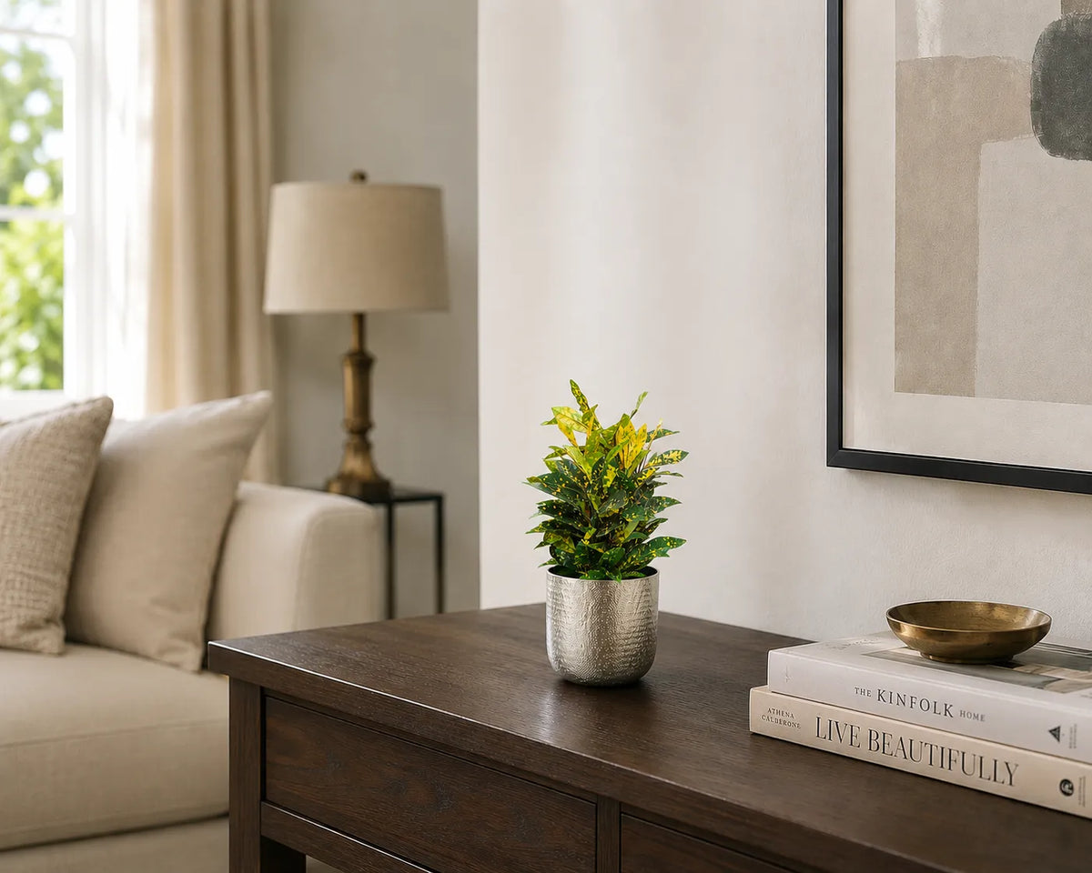 Chatai Texture Planter Br.Antiq.