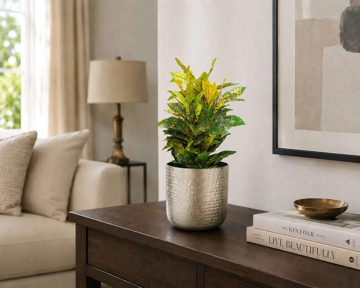Chatai Texture Planter Br.Antiq.