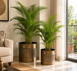 Planter