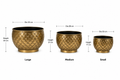 Iron Peacock Planter – Gold Antique Finish