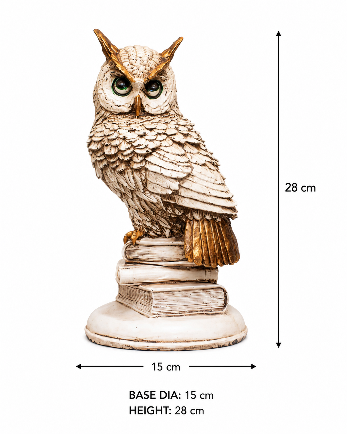 Owl with Books