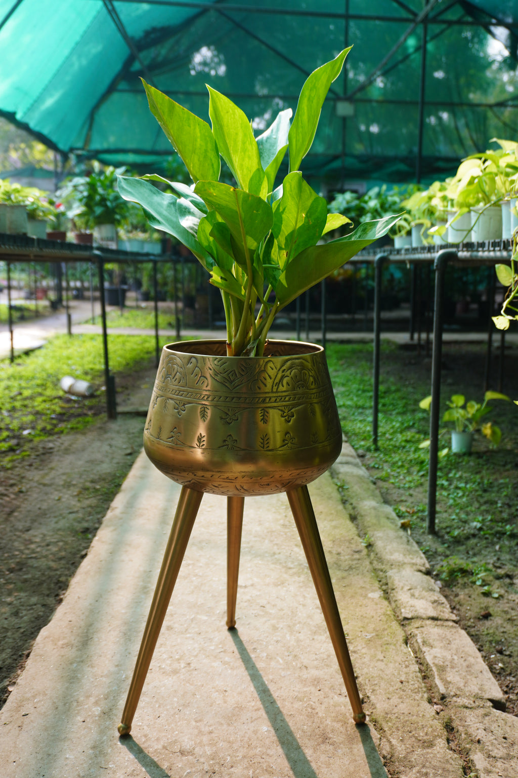 Tripod Planter