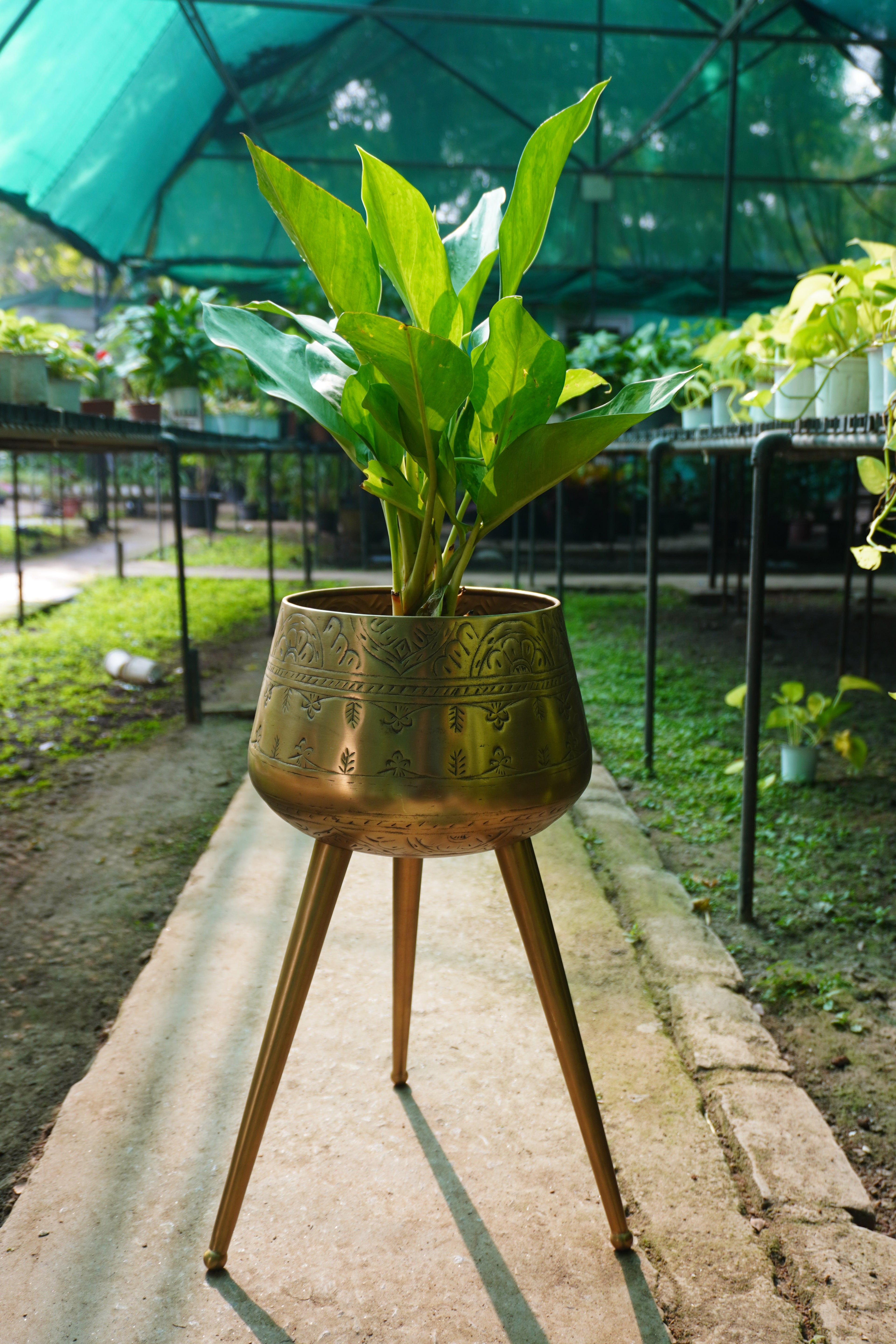 Tripod Planter