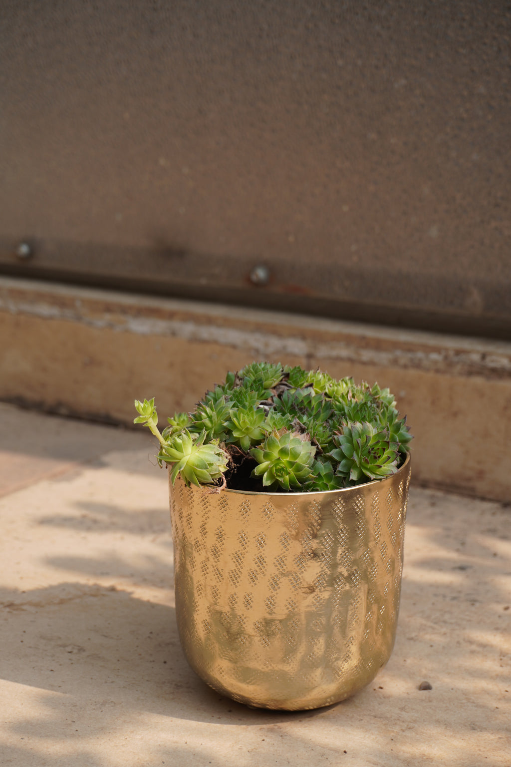 Chatai Texture Planter