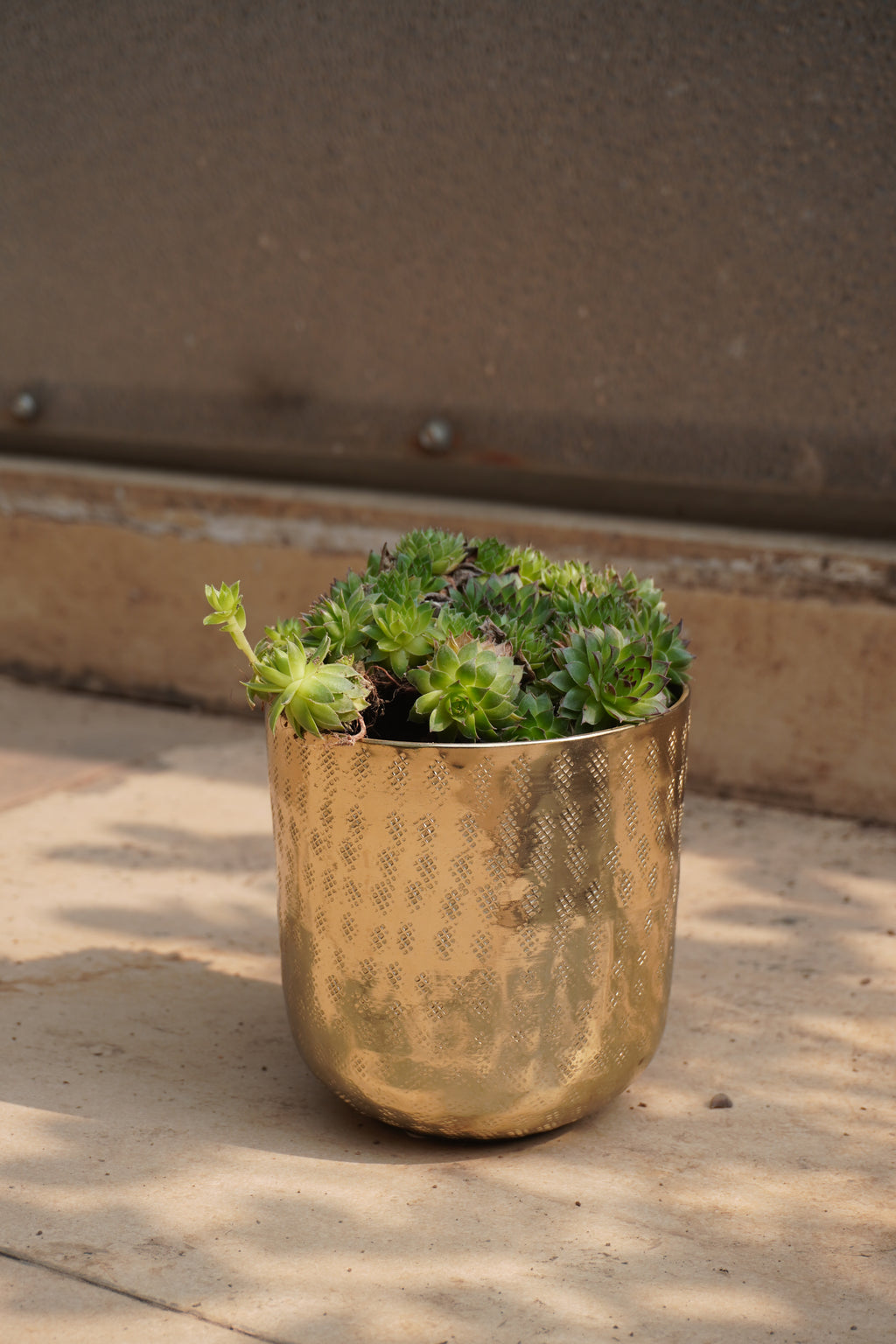 Chatai Texture Planter