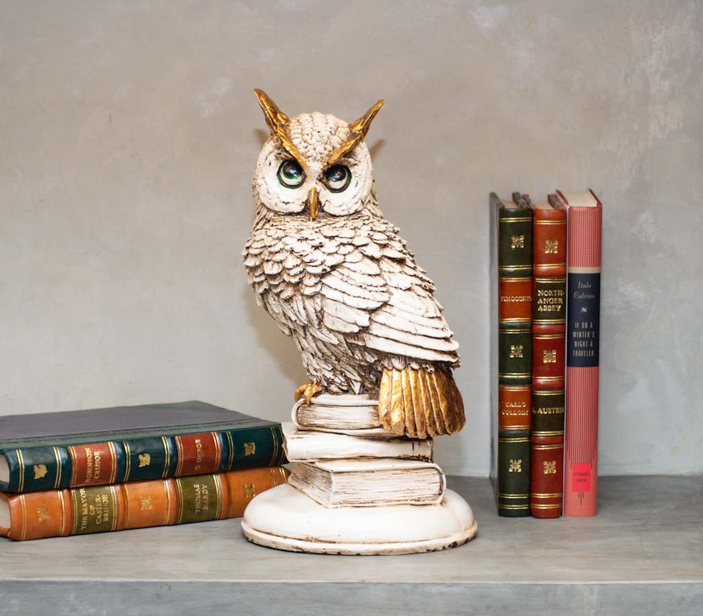 Owl with Books