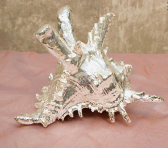 Shankh