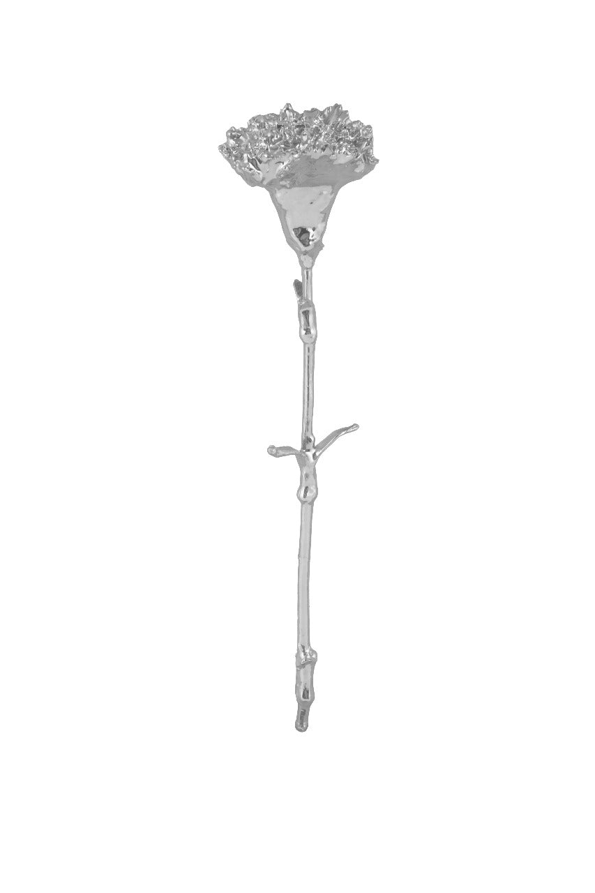 Carnation Silver