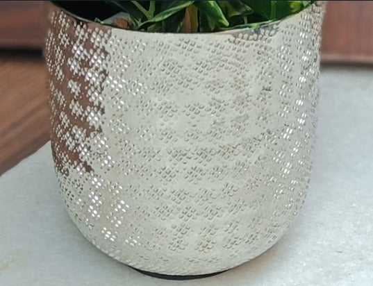 Chatai Texture Planter